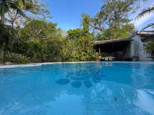 a large swimming pool in front of a house at Sukuma guest house in Ukunda