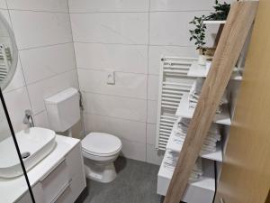 a bathroom with a toilet and a shelf with towels at Apartman Vinyl - self check-in in Osijek