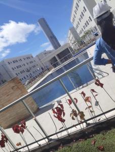 Huéspedes de Recanto do Sol, 2 quartos, piscina ambiente tranquilo