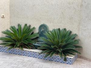 Φωτογραφία από το άλμπουμ του La Villa Bleue Djerba Houmt Souk σε Houmt Souk +142 φωτογραφίες