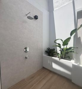 a bathroom with a shower with a plant in it at Alojamiento MEL BEACH in Arinaga