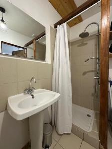 a bathroom with a sink and a shower at L'Appartement Assas in Le Creusot