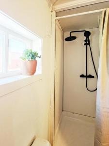 a shower in a bathroom with a window and a plant at 2 Houses & A Barn Twin Room in Leknes