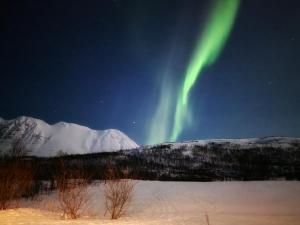 an aurora in the sky over a snowy field at Blabergan Lodge in Nord-Lenangen
