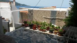 a row of potted plants sitting on a balcony at Green Hill Seaside Studios in Kokkari