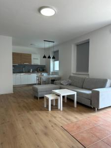 Kuchyň nebo kuchyňský kout v ubytování Apartmán Zamarovce