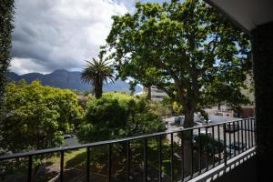 a balcony with a view of trees and mountains at Chic apartment with a beautiful view in Cape Town