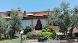Zahrada ubytování B&B La Casetta di Ben