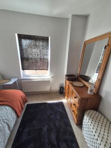 1 dormitorio con espejo, 1 cama y vestidor en Bronferen, en Bridgwater