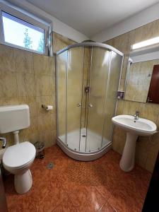 a bathroom with a shower and a toilet and a sink at Pensiunea Doina Sacele in Săcele