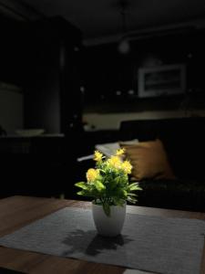 Imagen de la galería de napartmentss, en Pristina