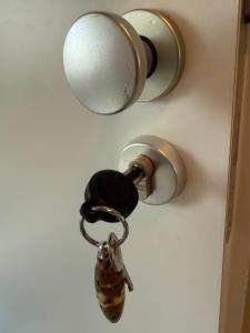 een sleutelbos die aan een deur is bevestigd met een sleutel bij Comfort Lodging Stueckenfeld in Hannover
