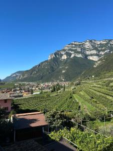 a view of a vineyard with mountains in the background at Appartamento CS in Sabbionara