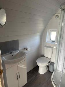 a bathroom with a toilet and a sink and a shower at The Highland Hideaway - North Coast Luxury Pod in Skaill