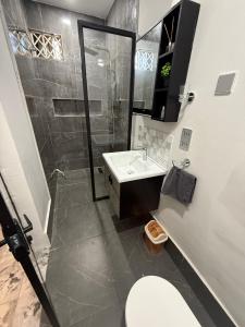 a bathroom with a shower and a toilet and a sink at OB DELUXE Apartments 3 in Accra