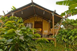 a small yellow house in the middle of a forest at Glamping Jardín in Jardin