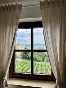 Příroda nedaleko prázdninového domu