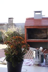 une plante en pot posée sur une table à côté d'une cuisinière dans l'établissement Vivienda de alquiler por dia completa en Junin, à Junín 27 autres photos