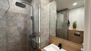 a bathroom with a shower with a sink and a glass shower door at Dream & Relax Apartment's Burg in Nürnberg +17 photos