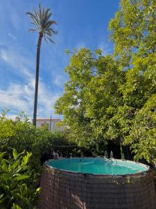 a swimming pool with a palm tree and a palm tree at Glamping de Huerta La Arboleja in Murcia