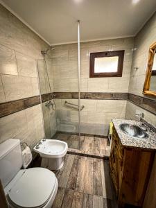 une salle de bain avec toilettes, douche et lavabo dans l'établissement EL SUSURR0, à Villa Pehuenia