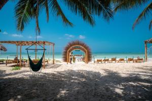 una hamaca en la playa junto al océano en Mintaka Boutique Hotel, en Bwejuu