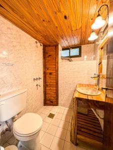 a bathroom with a toilet and a sink at El susurro in Villa Pehuenia
