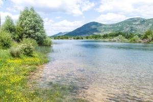 Príroda v okolí dovolenkového domu