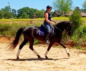 a woman riding a horse on a dirt road at Connect with Nature on Quiet Horse Farm in Troutman +6 photos