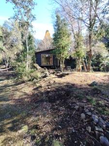 a house in the middle of a field at Cabañas Del Monte in Melipeuco