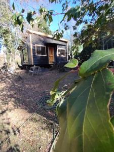 a tiny house in the middle of a yard at Cabañas Del Monte in Melipeuco