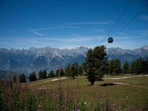 a gondola lift over a field with a tree and mountains at Apartment in Veysonnaz with pool in Veysonnaz +22 photos