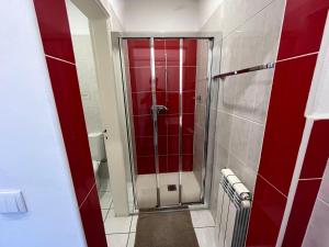a shower stall in a bathroom with red walls at Casa De Casarelhos in Cova
