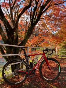 a red bike parked in front of a tree at Suehiroya - Vacation STAY 60087v in Nakatsu