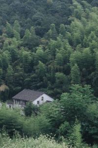 Photo de la galerie de l'établissement Xipo Moganshan Resort Homestay, à Houhong