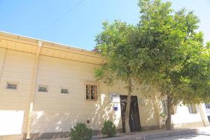 ein weißes Gebäude mit einem Baum davor in der Unterkunft GUEST HOUSE Silver1 in Samarkand