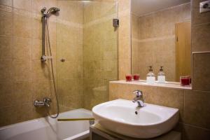 Vannituba majutusasutuses Flat at the Danube with wellness