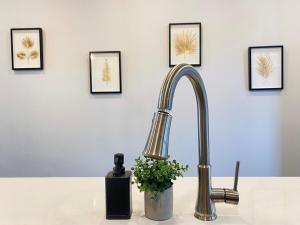 a kitchen sink with a faucet and a plant at The Downtown Oasis - A Spacious Family Friendly 3 Bedroom House Close to Everything in Edmonton