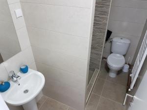 Kopalnica v nastanitvi Apartmani Simić Valjevo