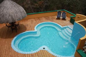 an overhead view of a swimming pool with chairs and a umbrella at Dream of the Green Flamingo in Willibrordus