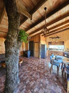 un salon avec une table et un arbre dans l'établissement Tierra de Volcanes, à Curacautín