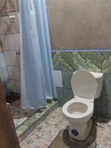 a bathroom with a toilet with a shower curtain at Rancho Belén in Mérida
