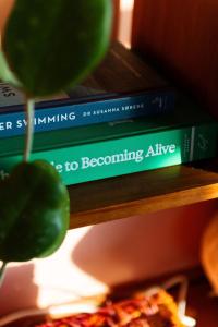 twee boeken op een plank met een pizza bij Sunshine Apartment at La Casa Cubo in Torquay