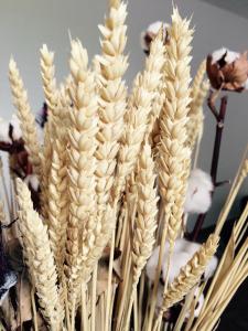 Afbeelding uit fotogalerij van Maison San Giovanni in Corte