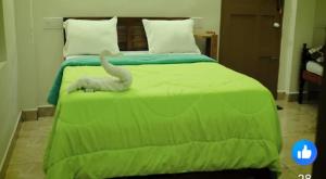 Ένα ή περισσότερα κρεβάτια σε δωμάτιο στο Jerusalem Homestay