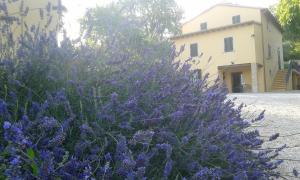 Vonkajšia záhrada v ubytovaní Agriturismo Il Truffarello TODI