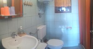 a bathroom with a white toilet and a sink at Apartments Antica in Šimuni
