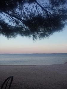 a view of the ocean from under a tree at Apartments Antica in Šimuni