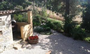 Vonkajšia záhrada v ubytovaní Agriturismo Il Truffarello TODI
