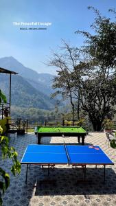 a ping pong table with a blue and green at ISOL Nature Resort in Rishīkesh